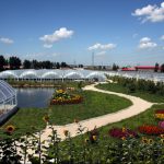 Flower-multi-function Greenhouse Film